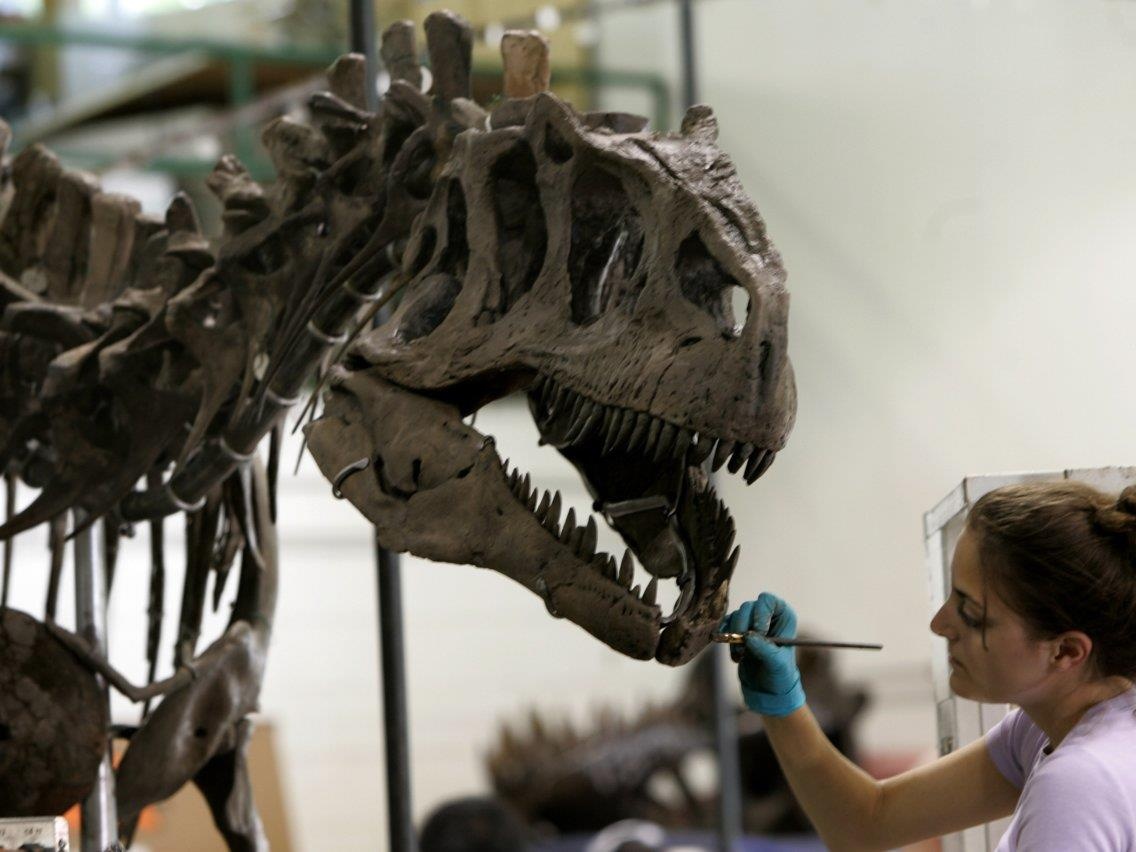 Nhung thu xa xi chi gioi sieu giau moi do tien mua anh 5