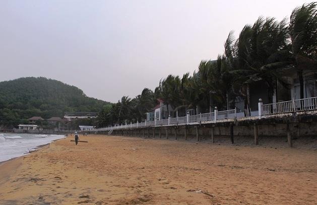 cha con ong Tran Bac Ha anh 3