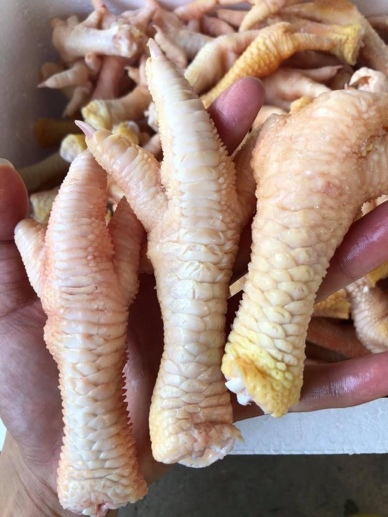 Chân gà khổng lồ 400 nghìn/kg ảnh 1 Chan ga khong lo 400 nghin/kg anh 1