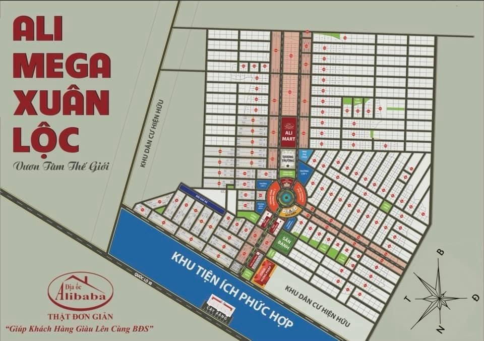 Alibaba tiep tuc lua dao ban dat nen ao anh 1