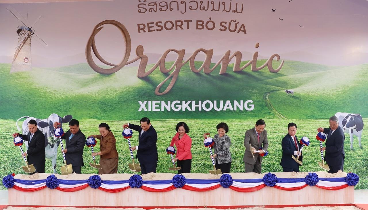 Vinamilk xay dung resort bo sua tai Lao anh 3