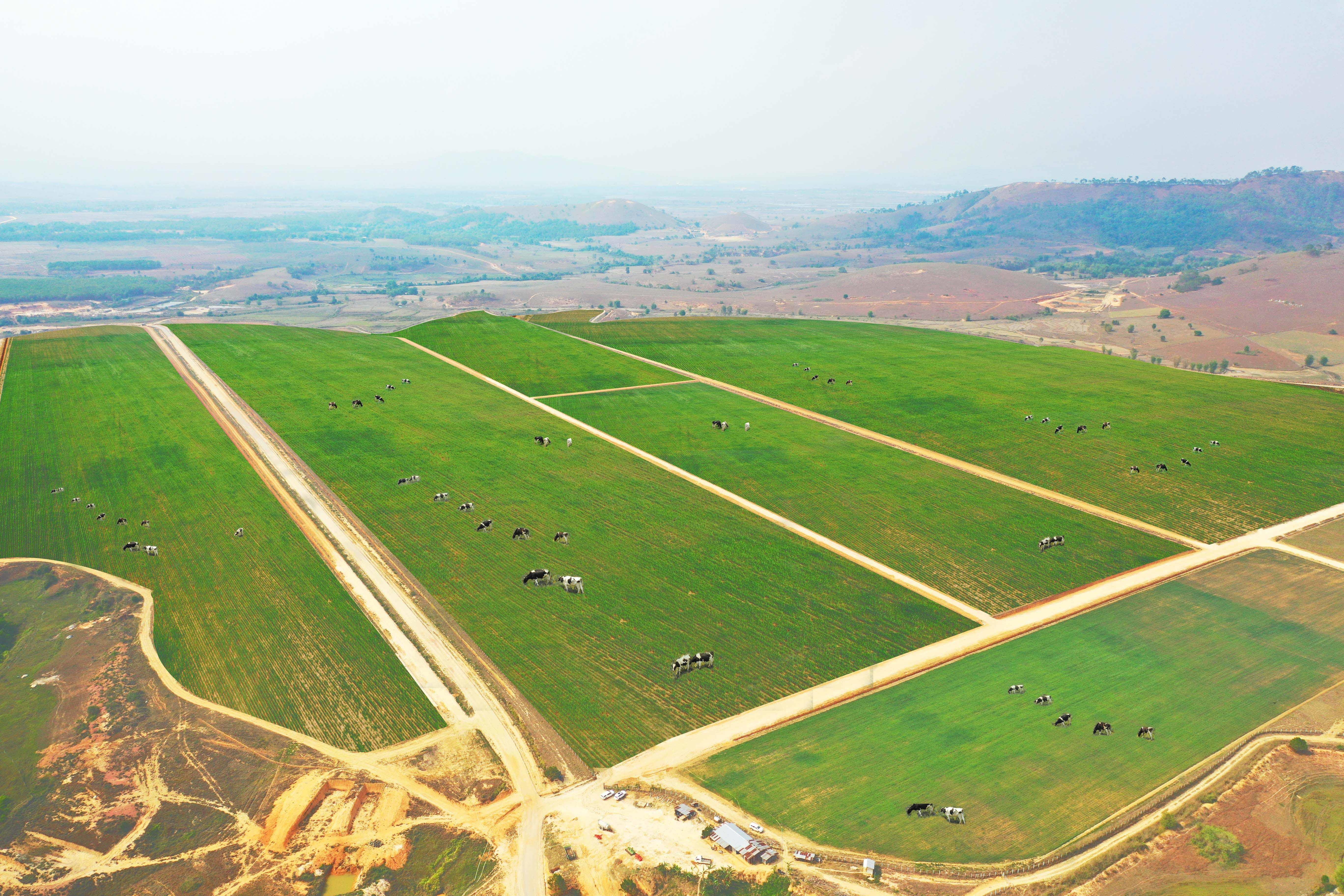 Vinamilk xay dung resort bo sua tai Lao anh 4