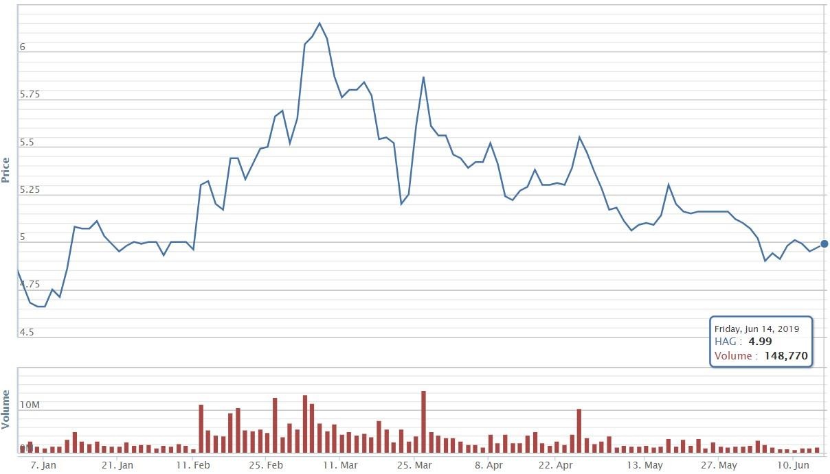 Bầu Đức miễn nhiệm em trai ảnh 2 Bau Duc mien nhiem em trai anh 2