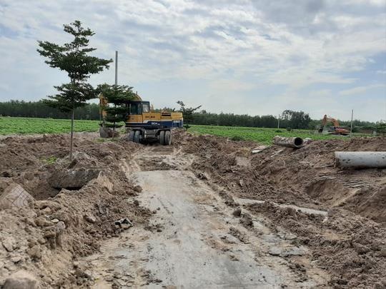 cuong che du an ma Alibaba anh 1