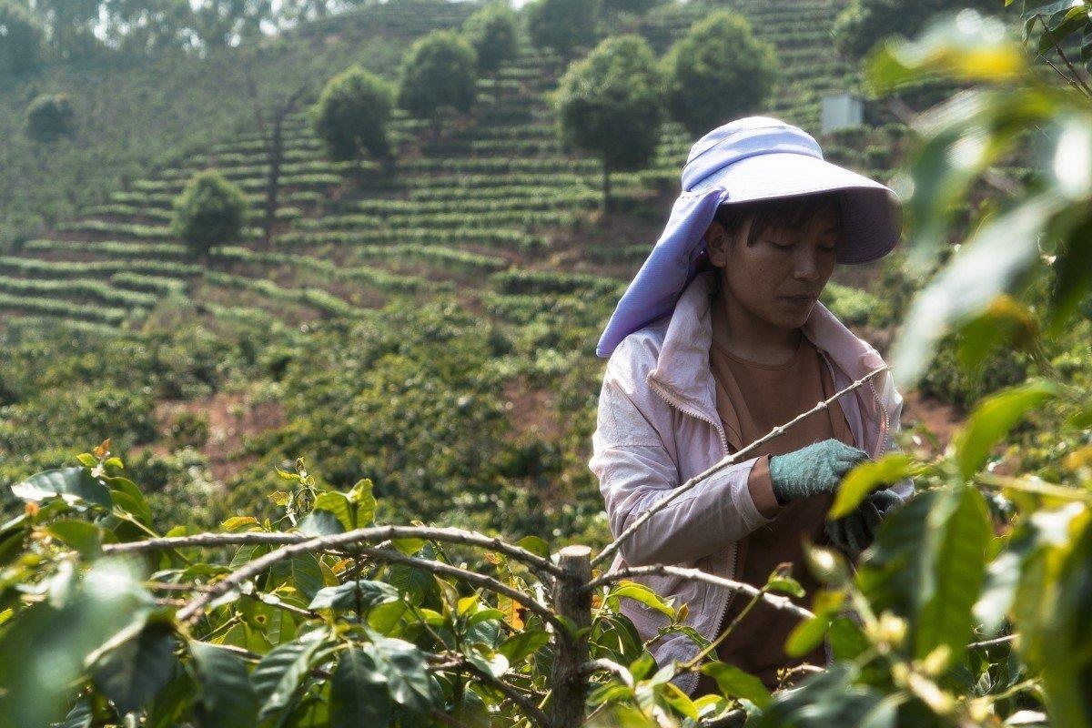 ‘Nong thon Trung Quoc quay tro lai voi cai ngheo’ hinh anh
