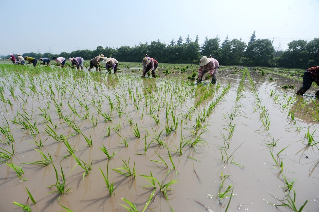nong thon Trung Quoc ngheo anh 2