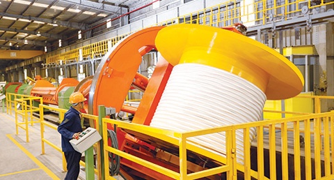 Dai gia Thai Lan chi 5.600 ty thau tom doanh nghiep Viet hinh anh