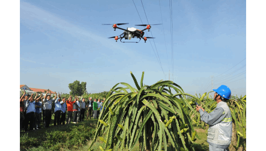 Ong lon nganh nong nghiep o mien Tay that thu hinh anh