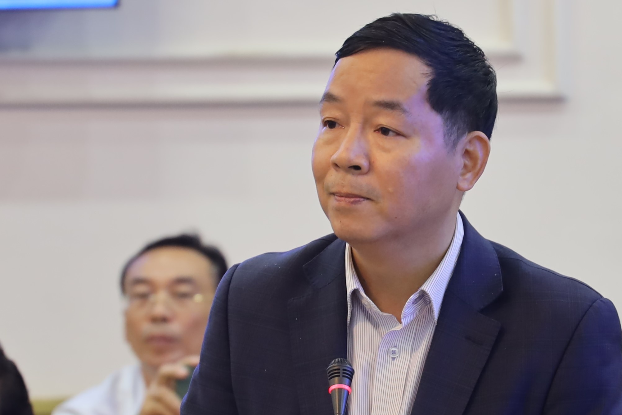 TS Vu Thanh Tu Anh: 'Nen giam thue VAT de bao ve doanh nghiep' hinh anh