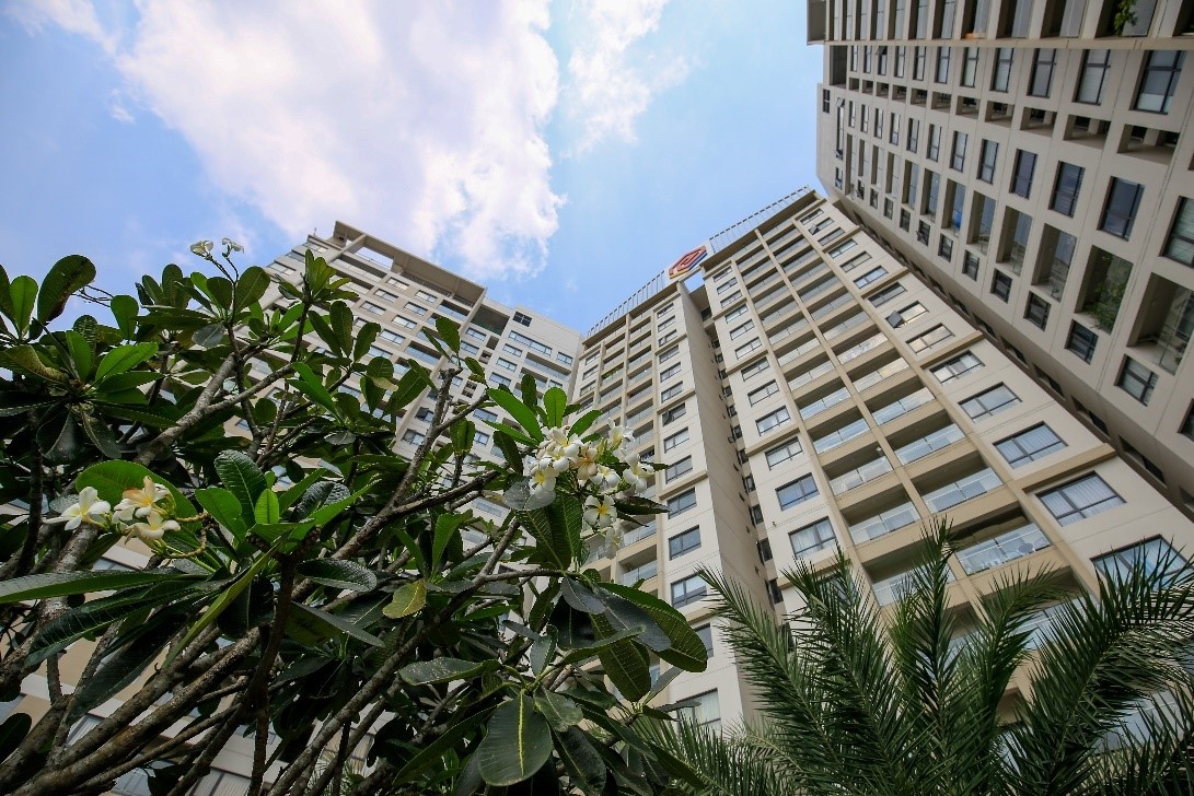 CEO Phat Dat noi ve vu cu dan kien cong ty ban cho de oto 500 trieu hinh anh