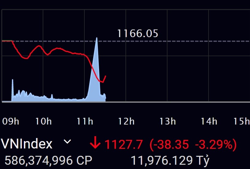 Nha dau tu xa co phieu, chung khoan rot gan 40 diem hinh anh