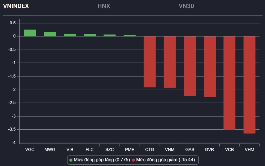 Nha dau tu lai ban thao, chung khoan mat gan 40 diem hinh anh