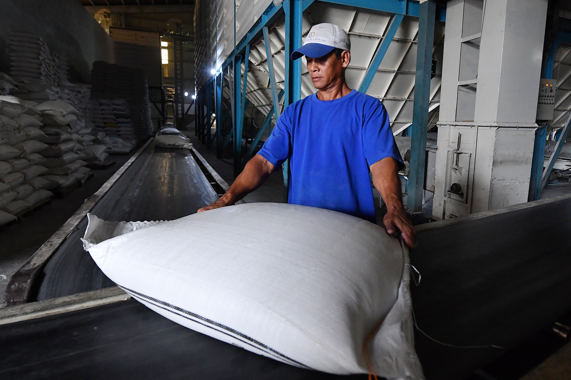 Gia co phieu phan bon tang nong hinh anh