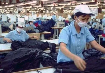 Cong ty may tra co tuc gap 20 lan gia co phieu hinh anh