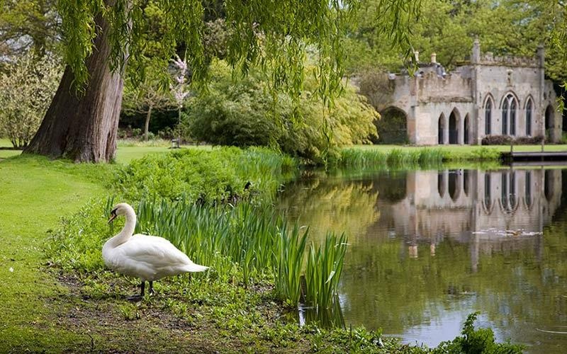 Hoang tu Harry anh 8