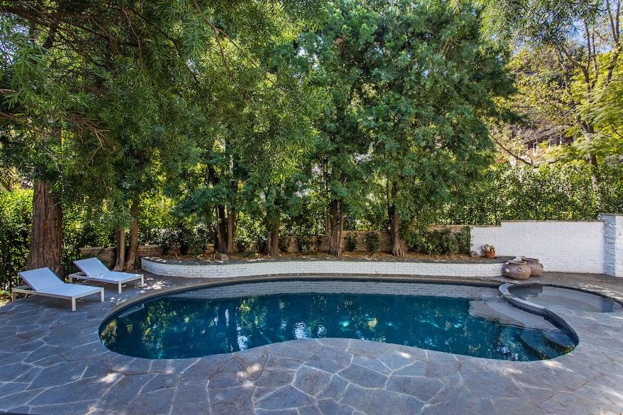 Leonardo DiCaprio ảnh 3 Leonardo DiCaprio anh 3