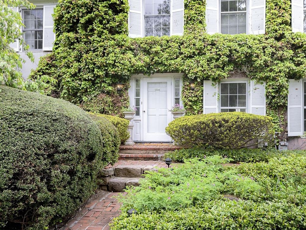 Scarlett Johansson ảnh 2 Scarlett Johansson anh 2