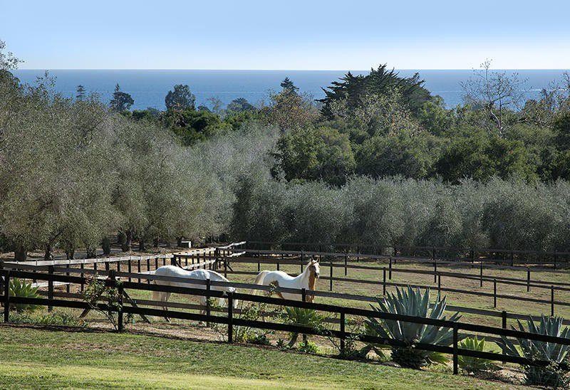 Biet thu ty phu anh 3