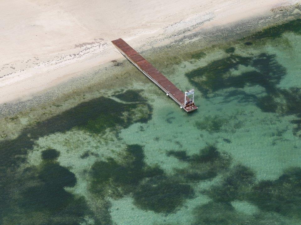 Ty phu au dam anh 13