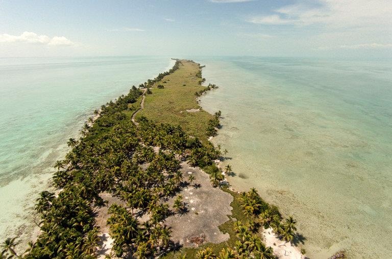 Leonardo DiCaprio anh 7