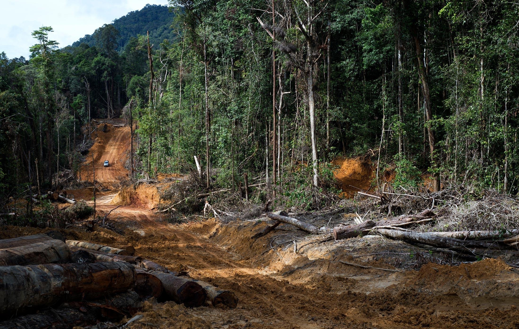 Thu do moi Indonesia anh 2