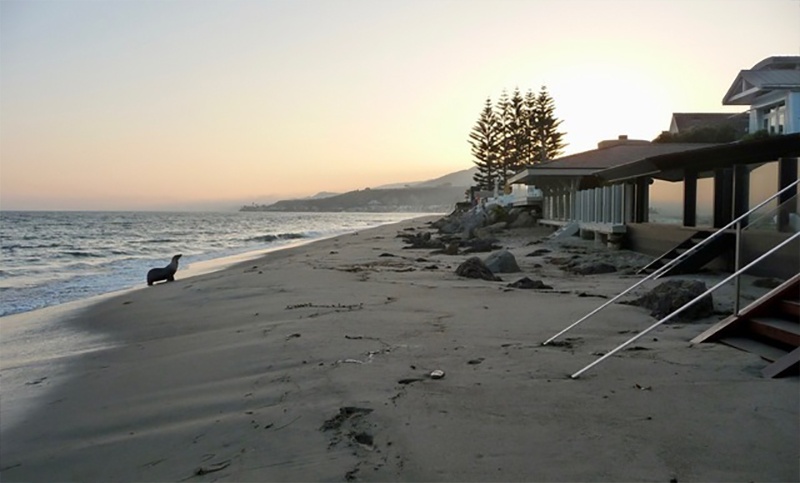 Jason Statham ảnh 2 Jason Statham anh 2