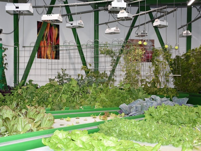 giau nhat the gioi anh 6