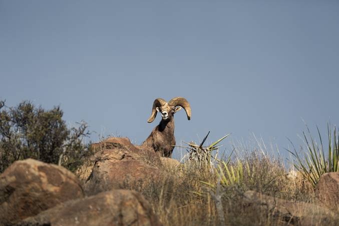 Hai dien trang rong lon gia 500 trieu USD cua ty phu My hinh anh