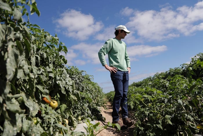 Hang ty USD nong san My do bo do dai dich Covid-19 hinh anh