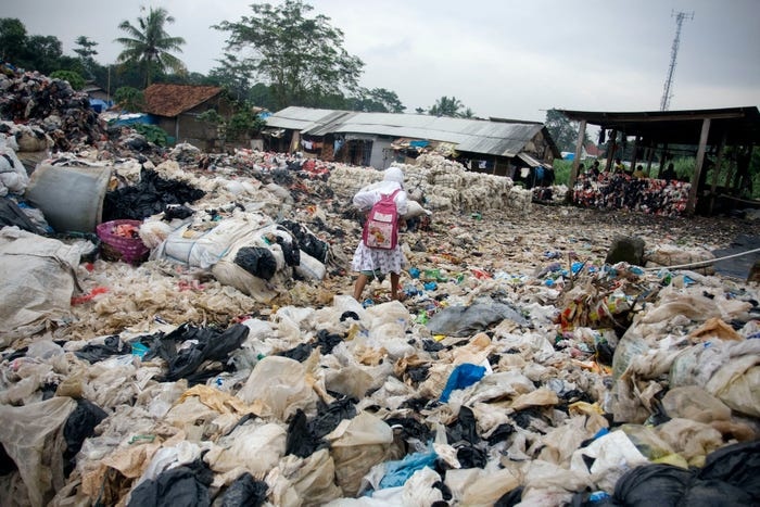 Quoc te Lao dong anh 11