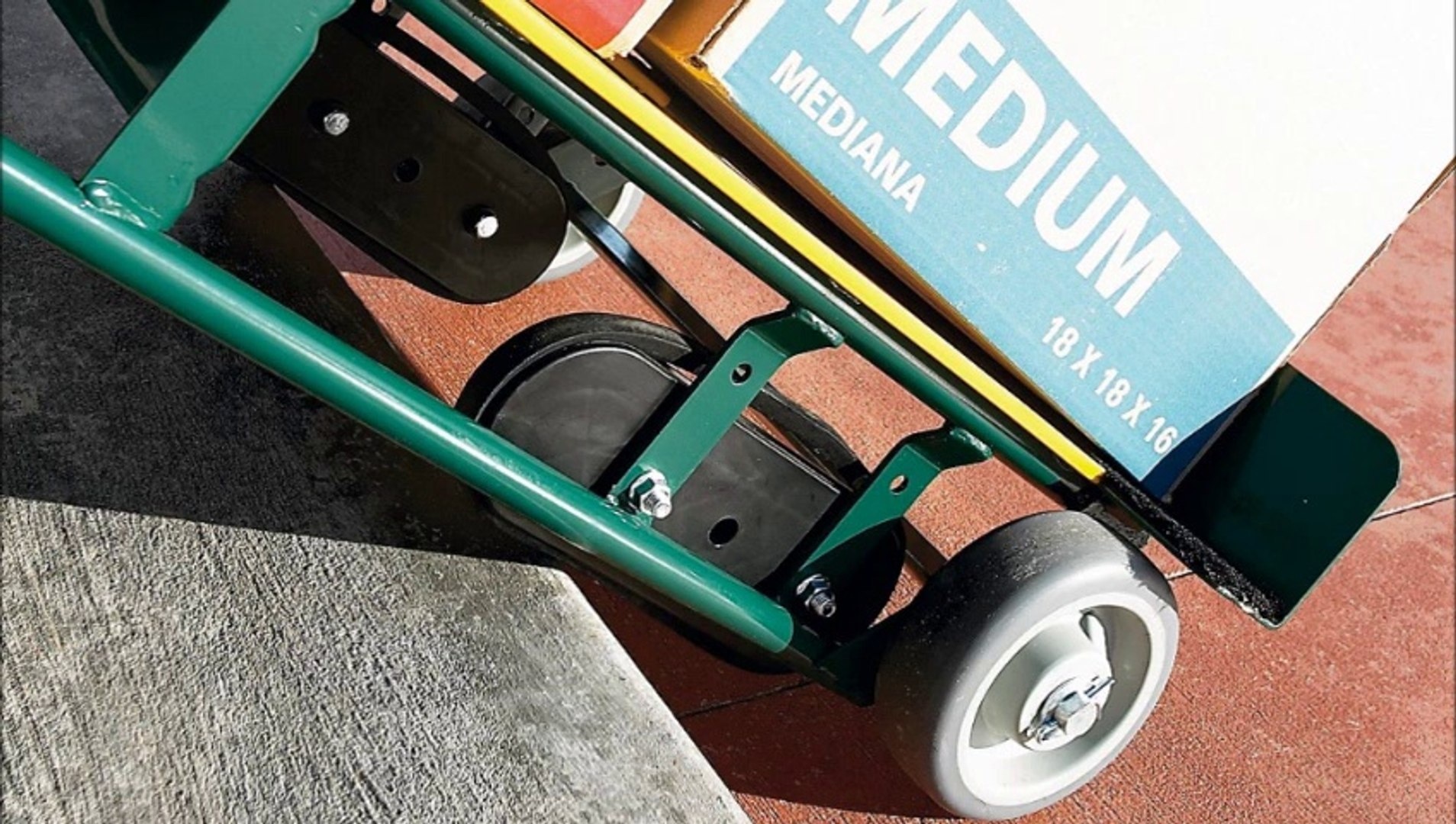 Tong thong Donald Trump anh 8