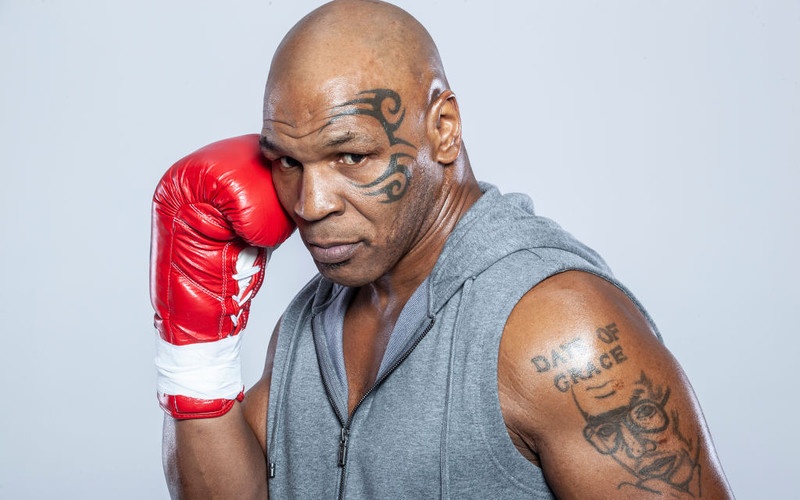 Biet thu 2,5 trieu USD cua huyen thoai quyen anh Mike Tyson hinh anh