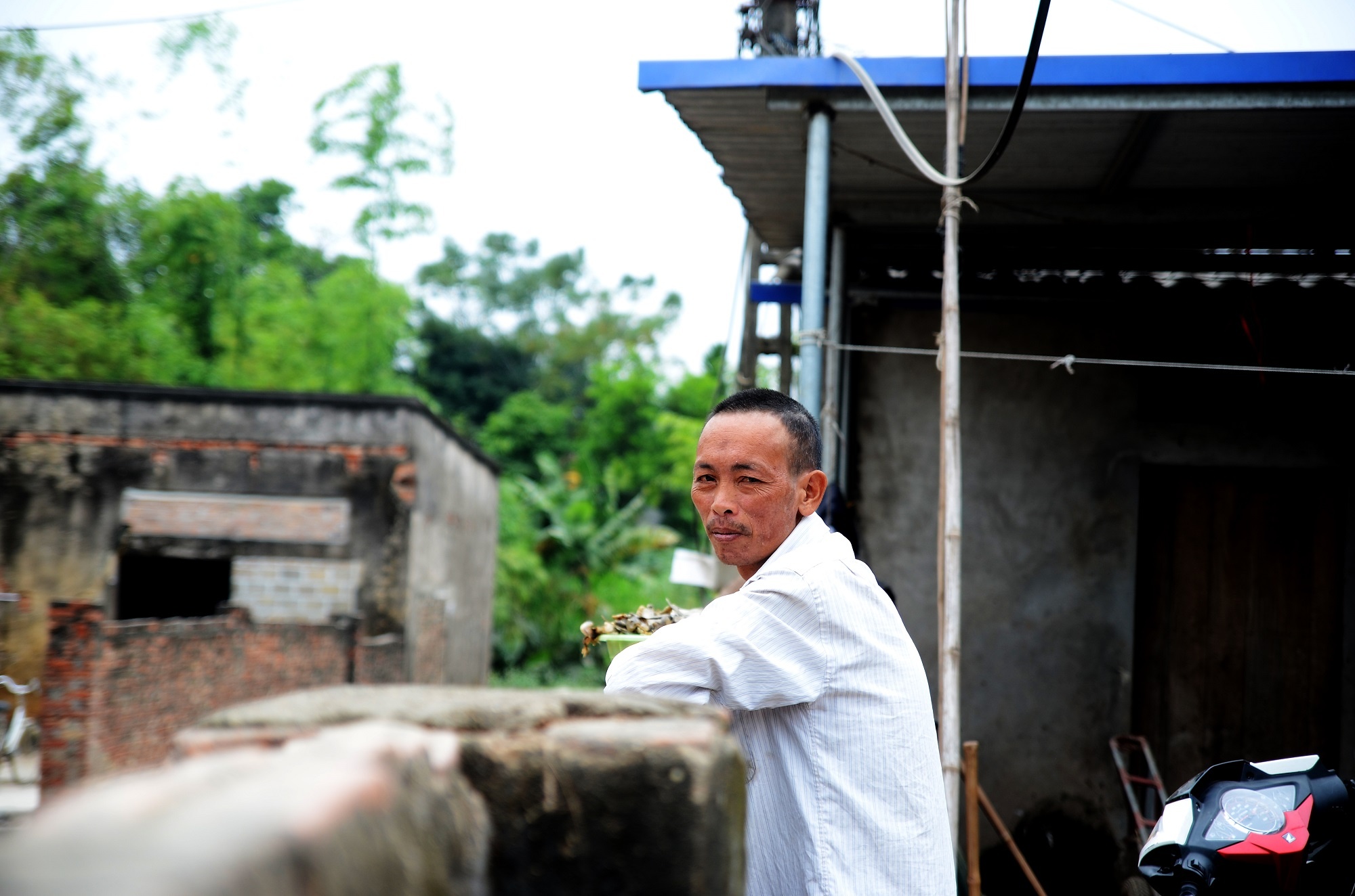 chat doc mau da cam anh 2