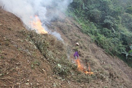 Hai nguoi tu vong do dot thuc bi de trong rung hinh anh