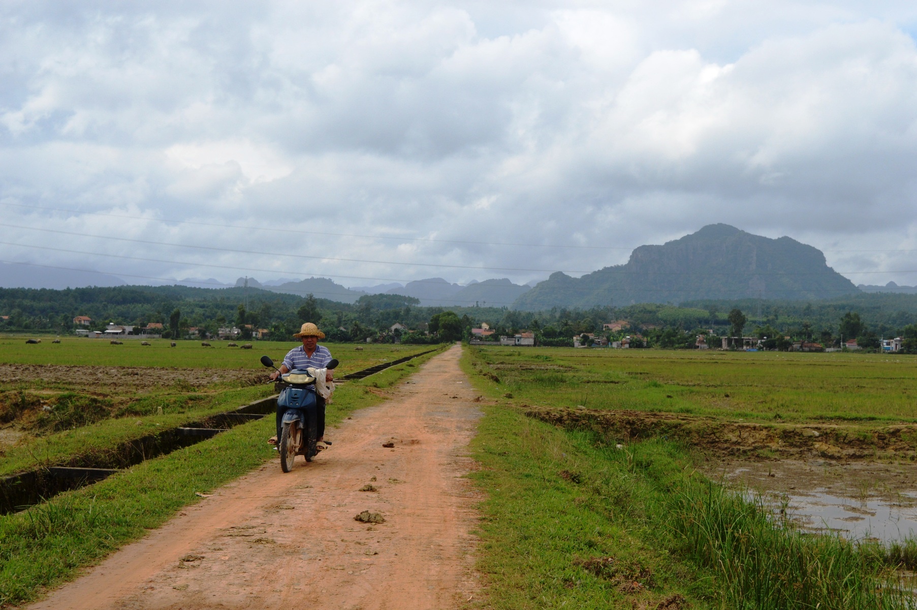 Con đường độc đạo qua thôn Cao Xuân, dẫn ra cánh đồng không hề có đường rẽ nên cẩu tặc không thể chạy thoát