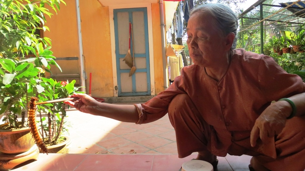 Con rết bị bắt sống có chiều dài 32cm