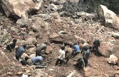 Sap ham trong rung sau, 2 phu tram tu nan hinh anh