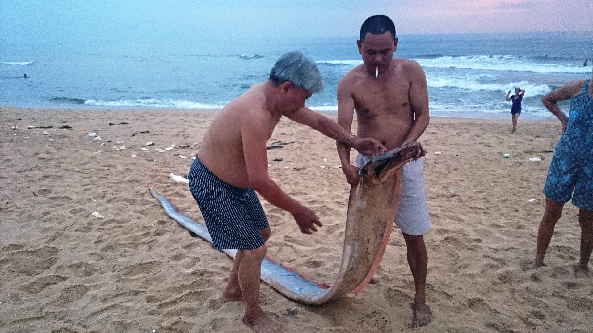 Ca mai cheo dai hon 4 m dat vao bo bien Quang Binh hinh anh