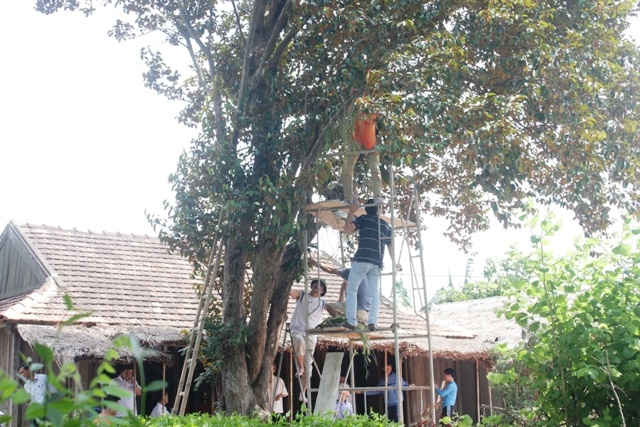 Trong phong lan o ngoi nha tuoi tho cua Dai tuong hinh anh