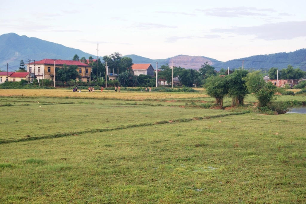 Nguoi dan ong bi set danh tu vong tren dong hinh anh