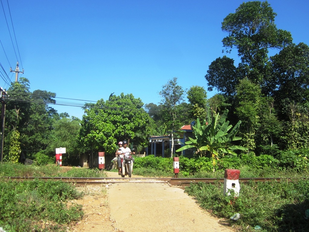 Cu ong bi tau SE1 tong chet khi bang qua duong sat hinh anh