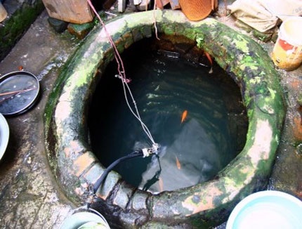 Cha nem con gai 10 tuoi xuong gieng hinh anh