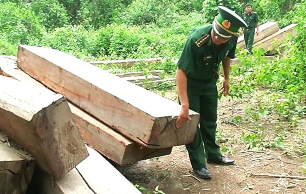 Bai tap ket go lau giua bien gioi Viet - Lao hinh anh