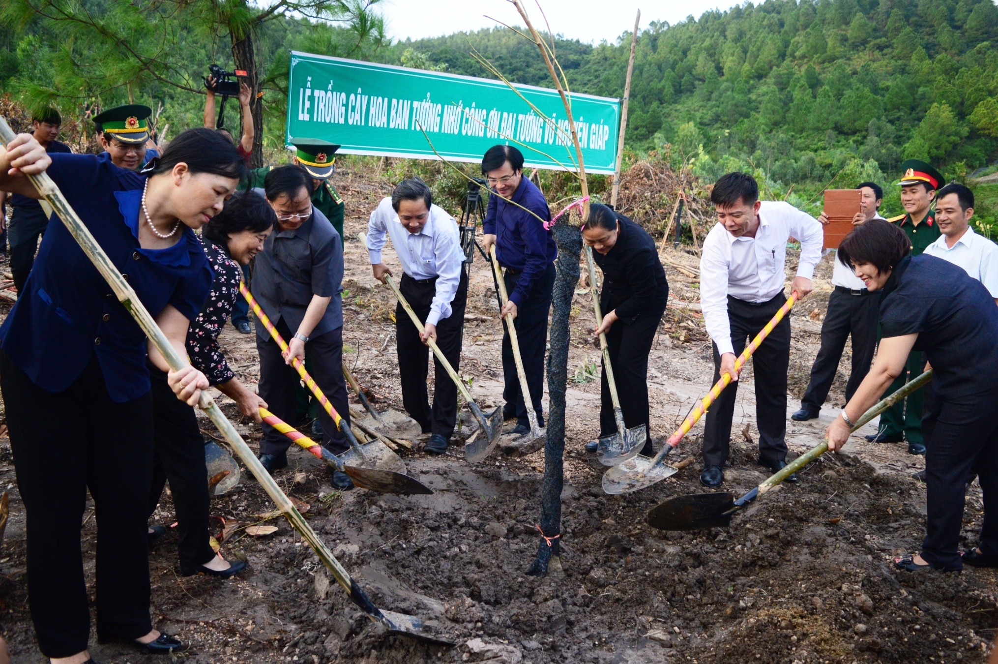Trong 100 cay hoa ban Tay Bac ben mo Dai tuong hinh anh