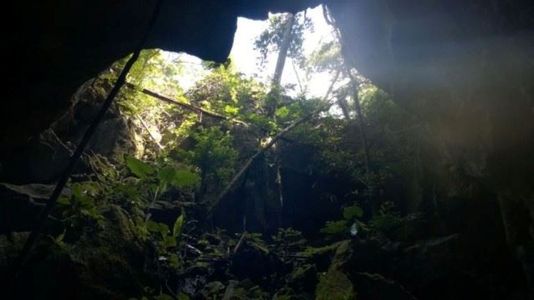 Hang dong chua co dau chan nguoi o Phong Nha hinh anh