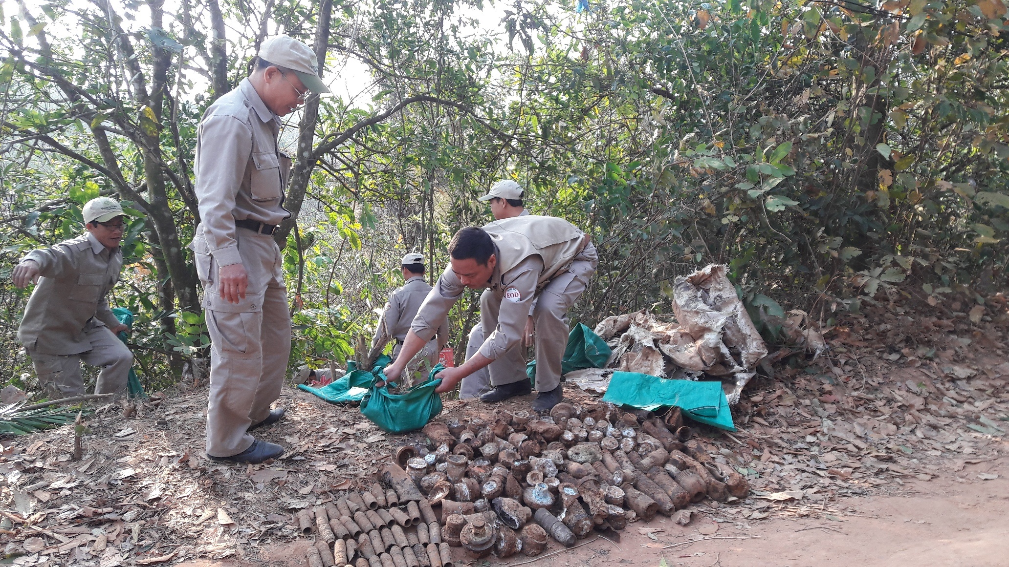 Hon 1.000 qua dan con nguyen dau no nam ben duong hinh anh
