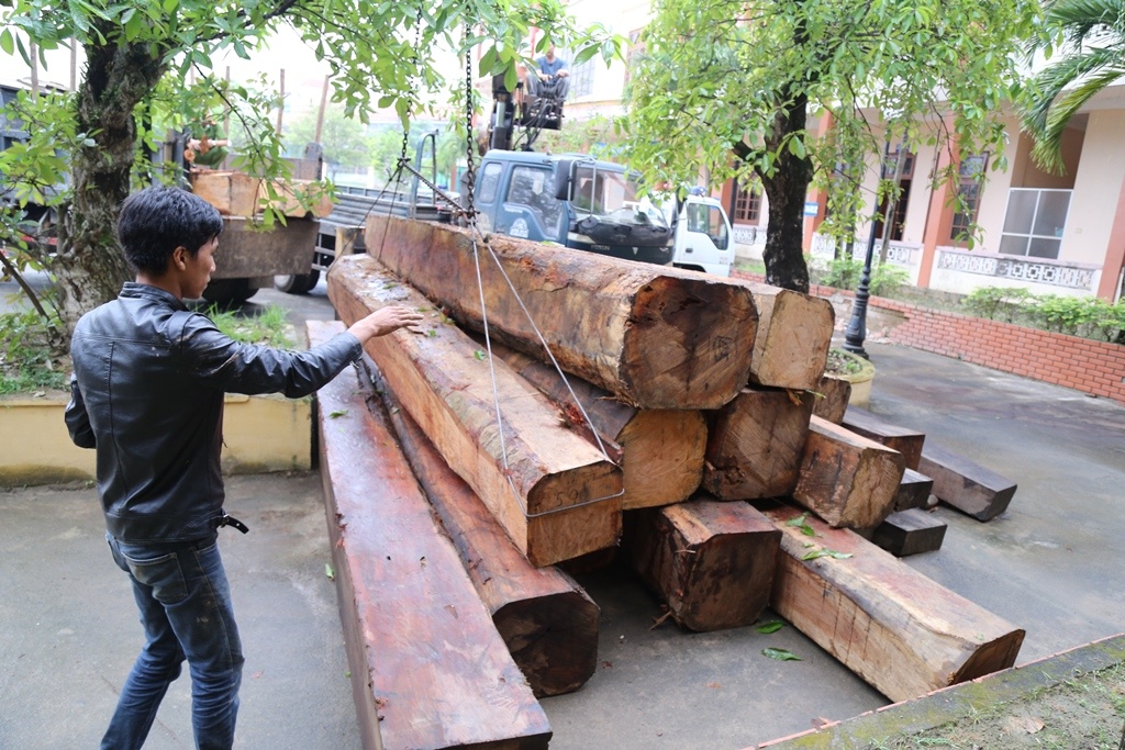 Xe cho hon 12 m3 go lau hien ngang chay tren duong hinh anh