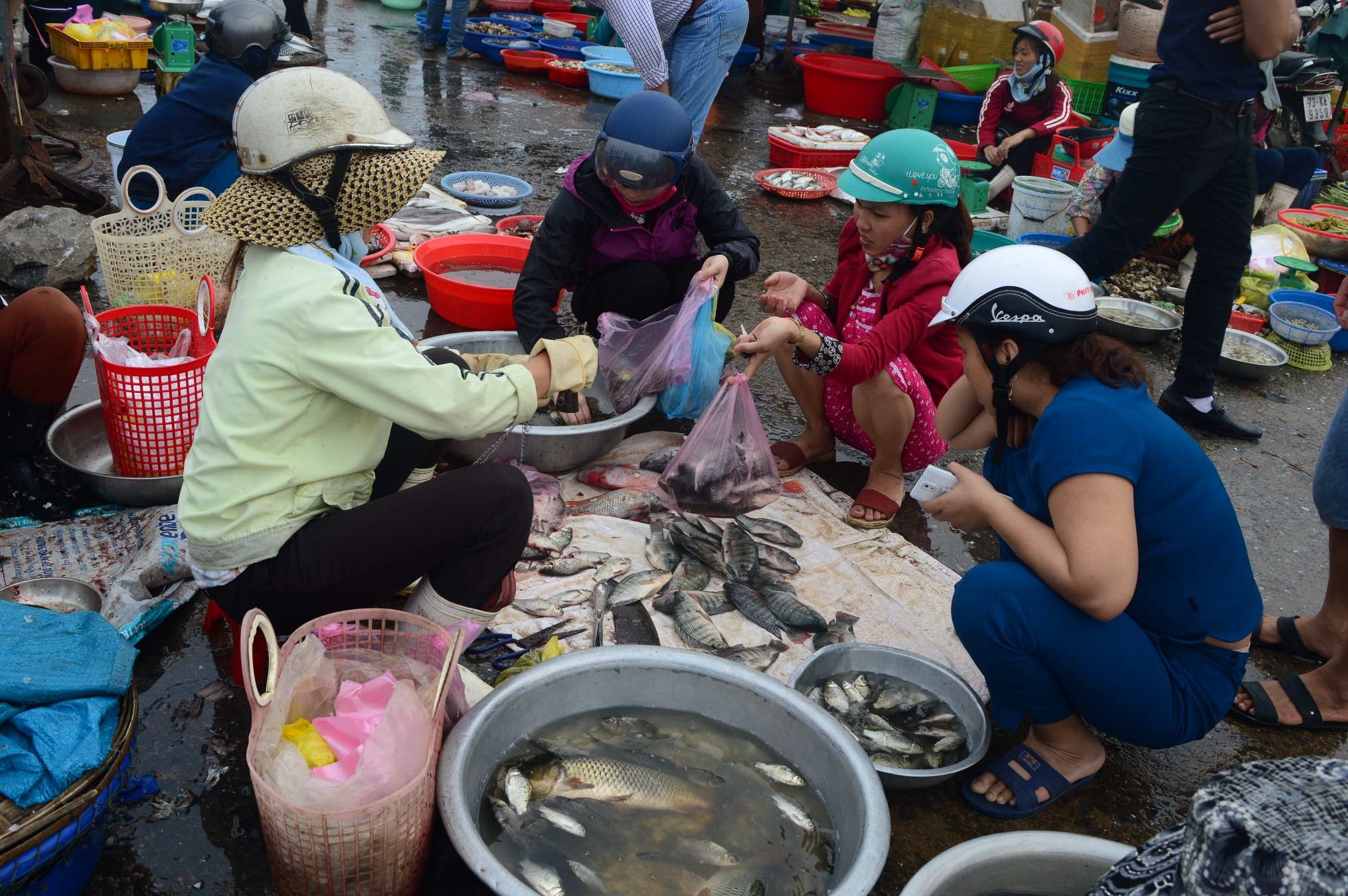 ca chet hang loat o mien trung anh 11