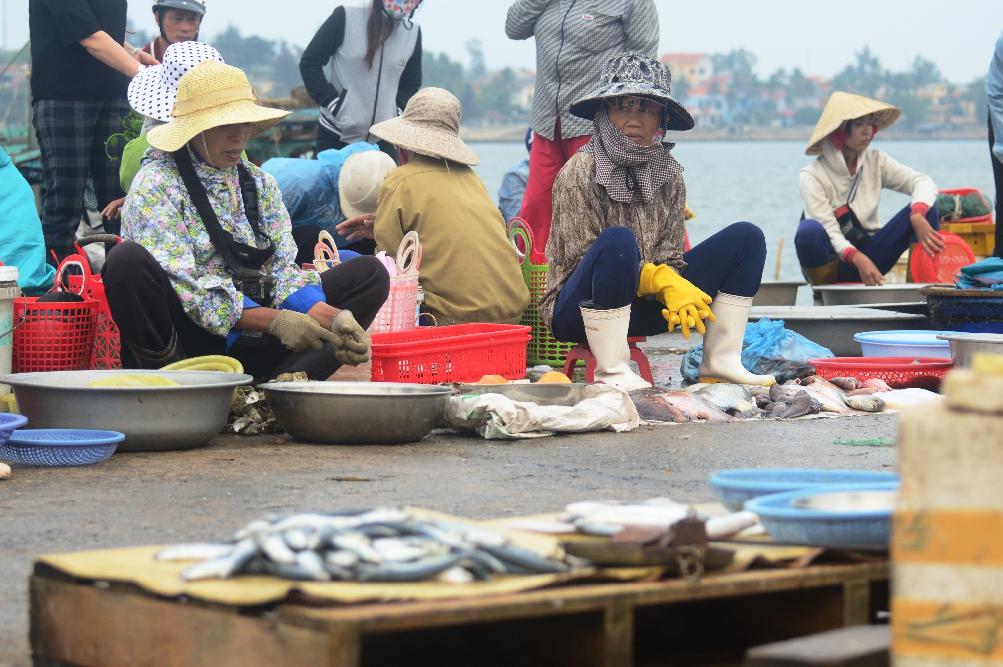 ca chet hang loat o mien trung anh 4