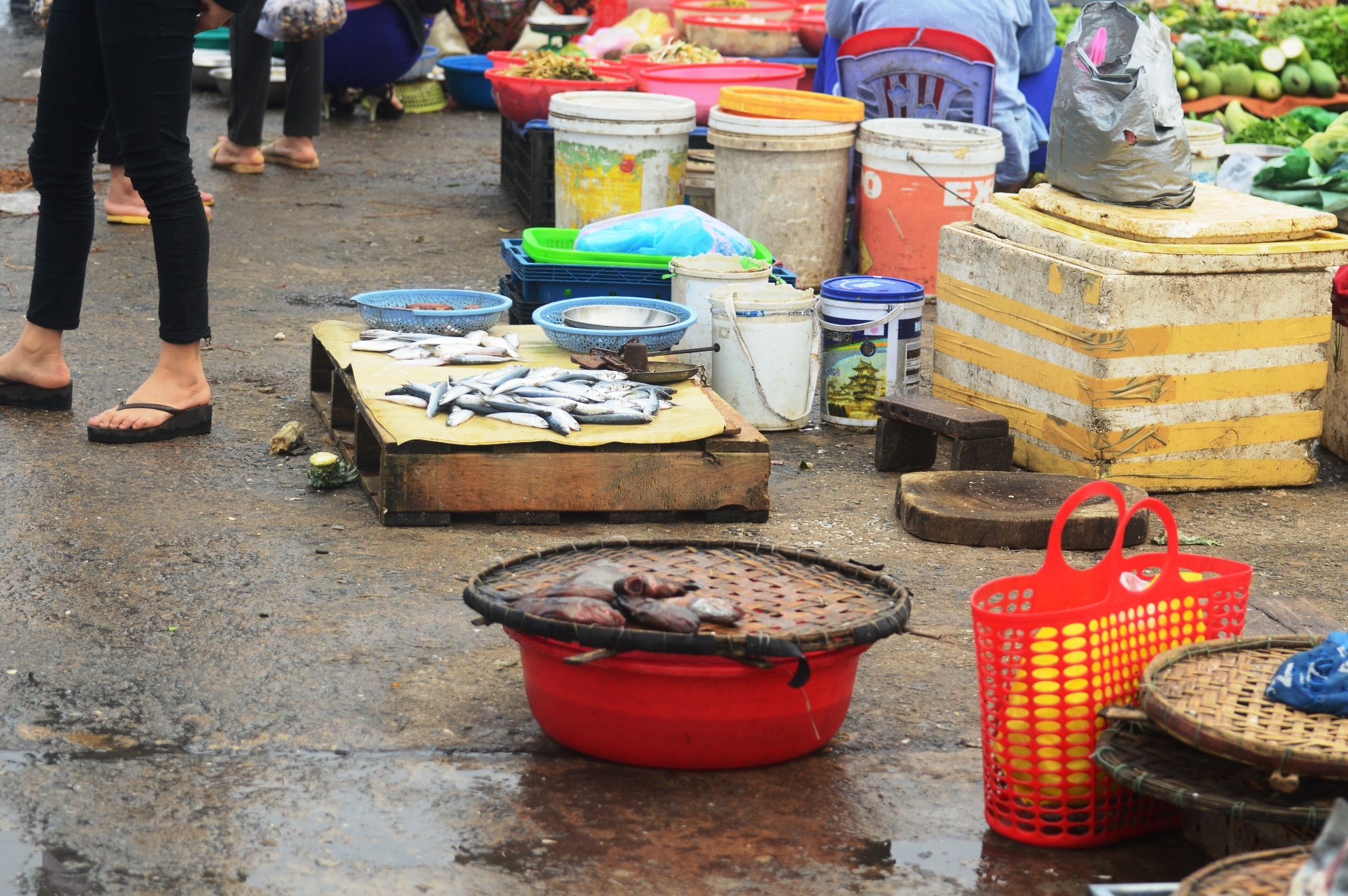 ca chet hang loat o mien trung anh 5